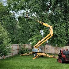 Grass Overseeding in Prescott, WI